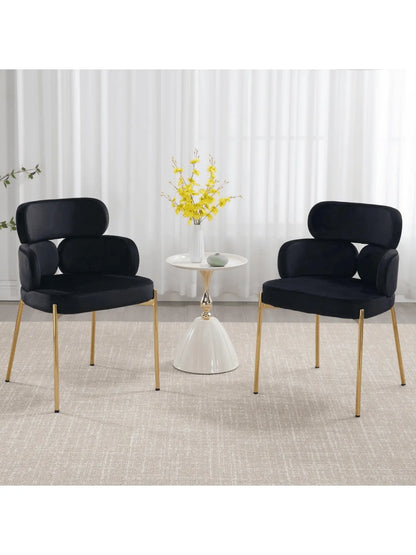 Noah Dining Chairs (Set of 2) - Refined Maison®