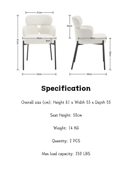 Noah Dining Chairs (Set of 2) - Refined Maison®